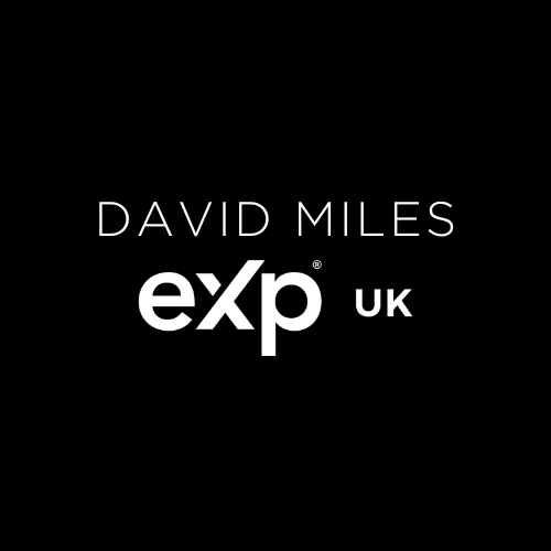 david miles exp case study